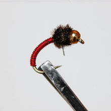 Load image into Gallery viewer, Brassie &amp; Caddis Nymphs, Pkt of 3 Flies
