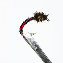 Load image into Gallery viewer, Brassie &amp; Caddis Nymphs, Pkt of 3 Flies
