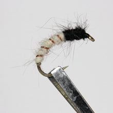 Load image into Gallery viewer, Brassie &amp; Caddis Nymphs, Pkt of 3 Flies
