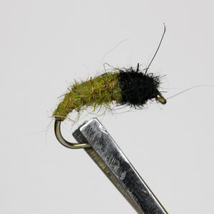 Brassie & Caddis Nymphs, Pkt of 3 Flies