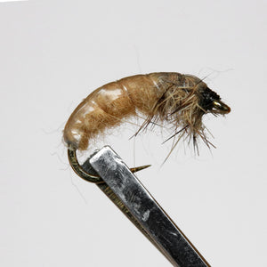 Czech Nymphs  Pkt of 3 Flies