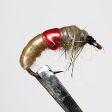 Load image into Gallery viewer, Czech Nymphs  Pkt of 3 Flies
