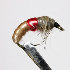 Czech Nymphs  Pkt of 3 Flies