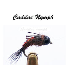 Load image into Gallery viewer, Tungsten Nymphs &amp; Variants Pkt of 3 Flies
