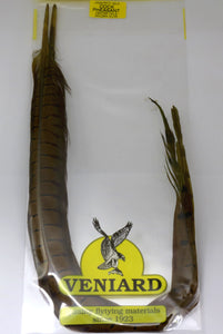 Feathers