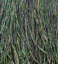 Load image into Gallery viewer, Feathers
