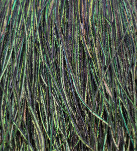 Feathers