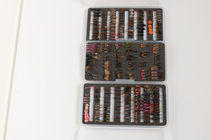 Selection of standard and tungsten nymphs