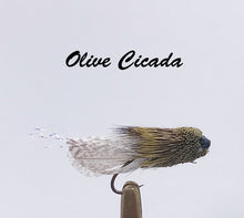 Load image into Gallery viewer, Terrestrials   Pkt of 3 Flies
