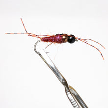 Load image into Gallery viewer, Double Tungsten Nymphs Pkt  of 3 Flies
