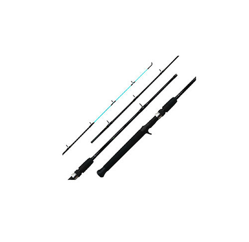 Jigging Rods