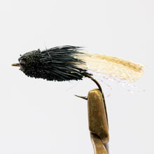 Load image into Gallery viewer, black Cicada 
