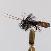 Load image into Gallery viewer, Dry Fly &amp; NZ Traditionals  Pkt of 3 Flies
