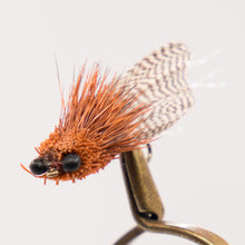 Load image into Gallery viewer, Terrestrials   Pkt of 3 Flies
