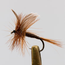 Load image into Gallery viewer, Dry Fly &amp; NZ Traditionals  Pkt of 3 Flies

