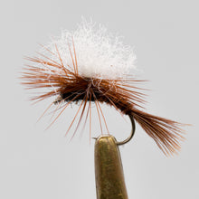 Load image into Gallery viewer, Dry Fly &amp; NZ Traditionals  Pkt of 3 Flies
