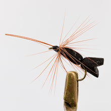 Load image into Gallery viewer, Dry Fly &amp; NZ Traditionals  Pkt of 3 Flies
